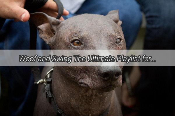 Woof and Swing The Ultimate Playlist for Your Poochs Playful Mishaps